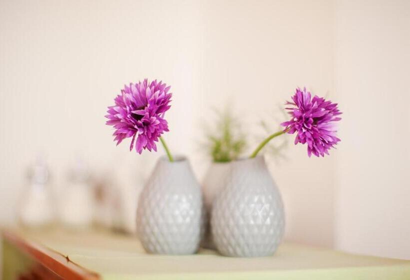 بنسيون Penzión Centrál