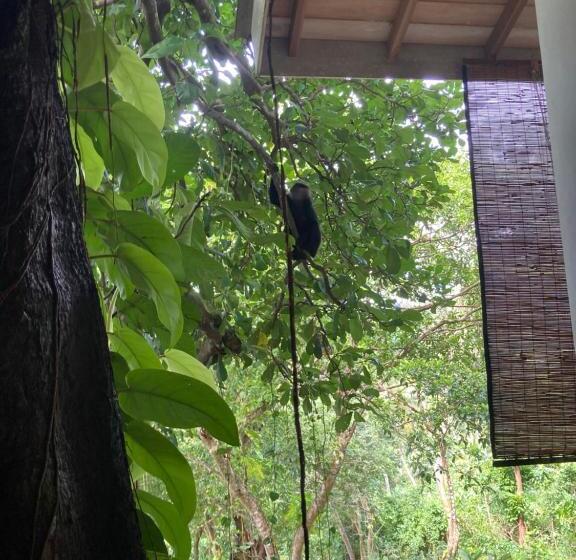 بنسيون Wija House Unawatuna