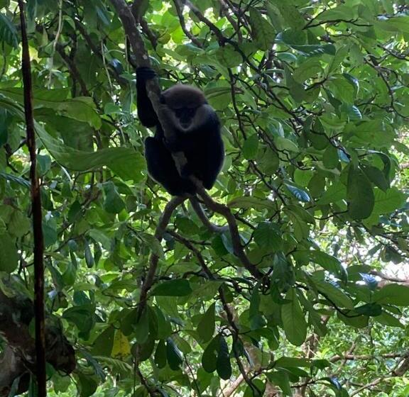 بنسيون Wija House Unawatuna