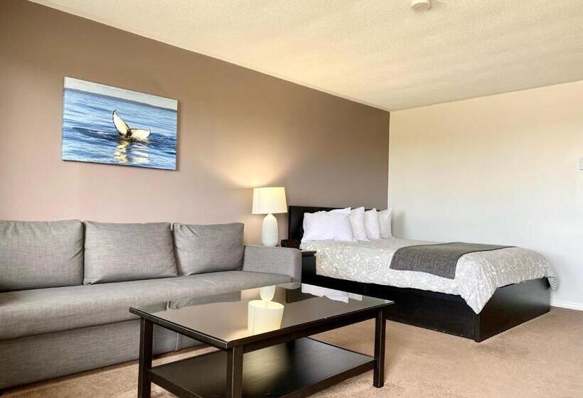 فندق على الطريق New Age Inn   Voyageur