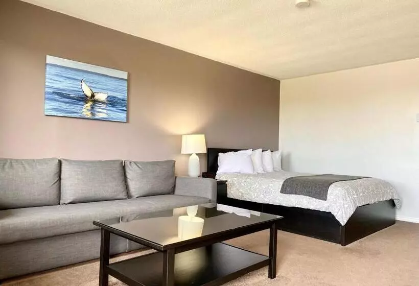 モーテル New Age Inn   Voyageur