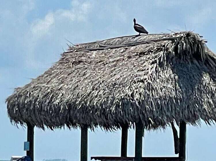 הוסטל Azure Del Mar