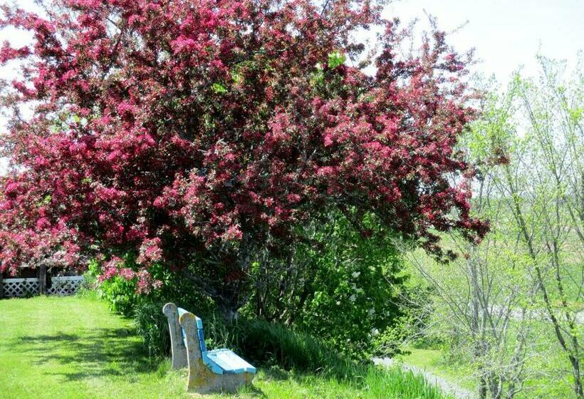 Szálló Tidal Bore Inn