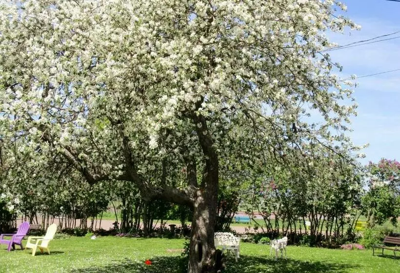 Retkeilymaja Tidal Bore Inn