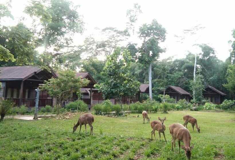 فندق G-land Joyos Surf Camp