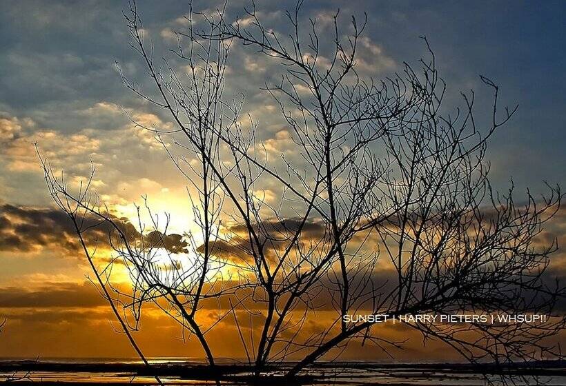 فندق G-land Joyos Surf Camp