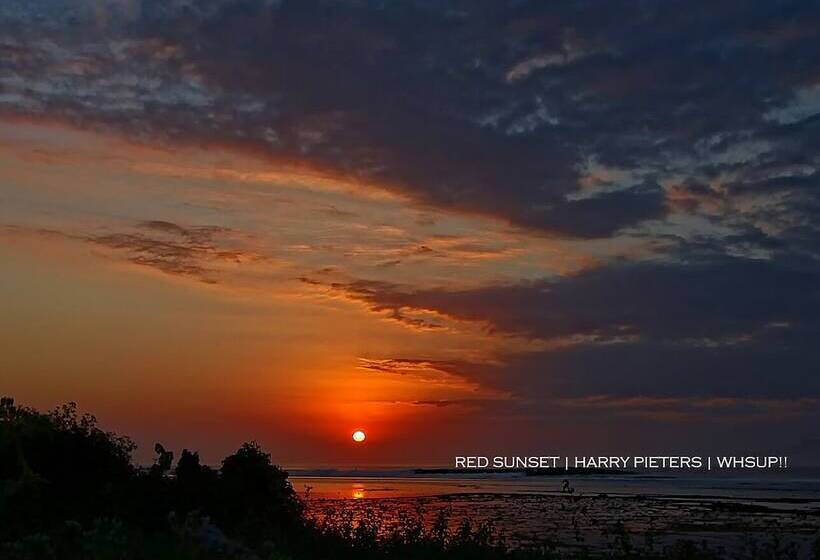 فندق G-land Joyos Surf Camp