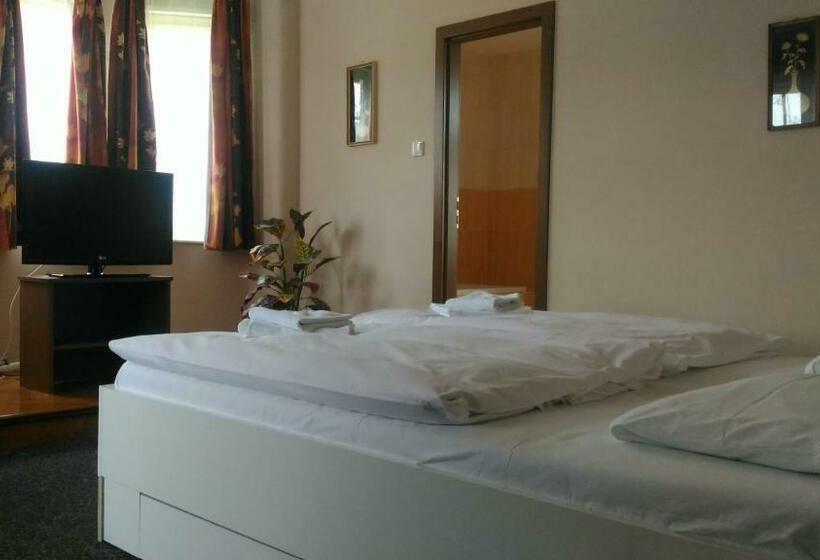 酒店 Penzion Marion