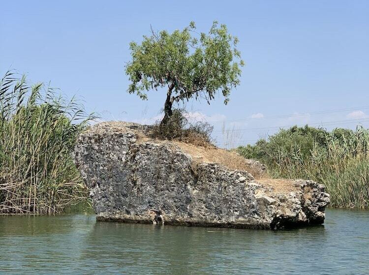 בית מלון כפרי The River House