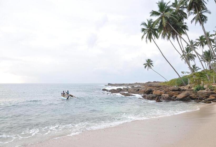 פנסיון Star Beach