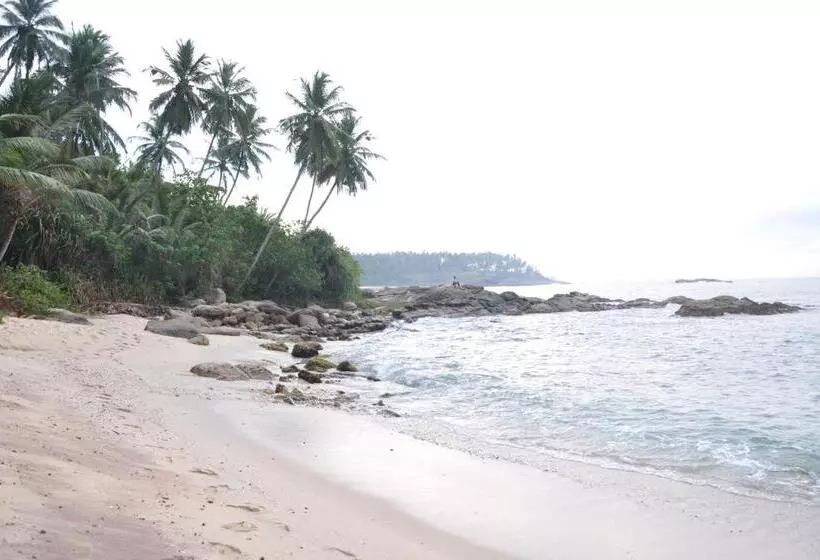 ペンション Star Beach
