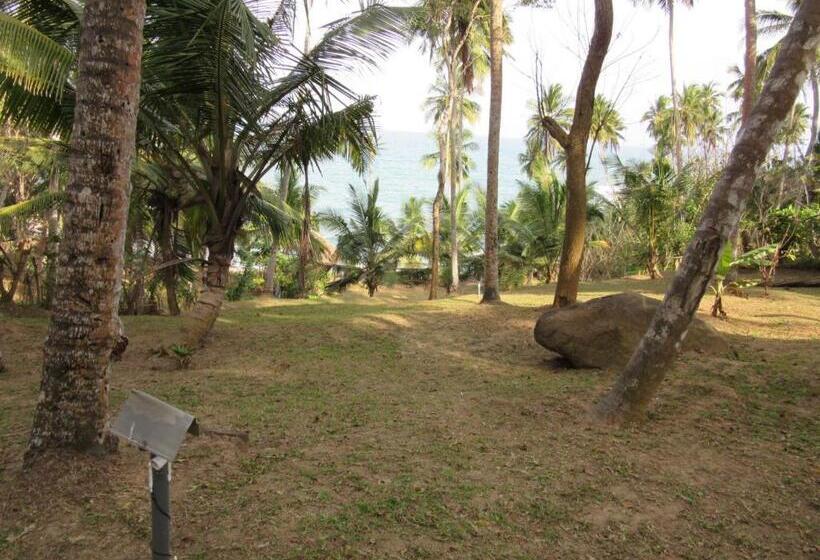 פנסיון Star Beach