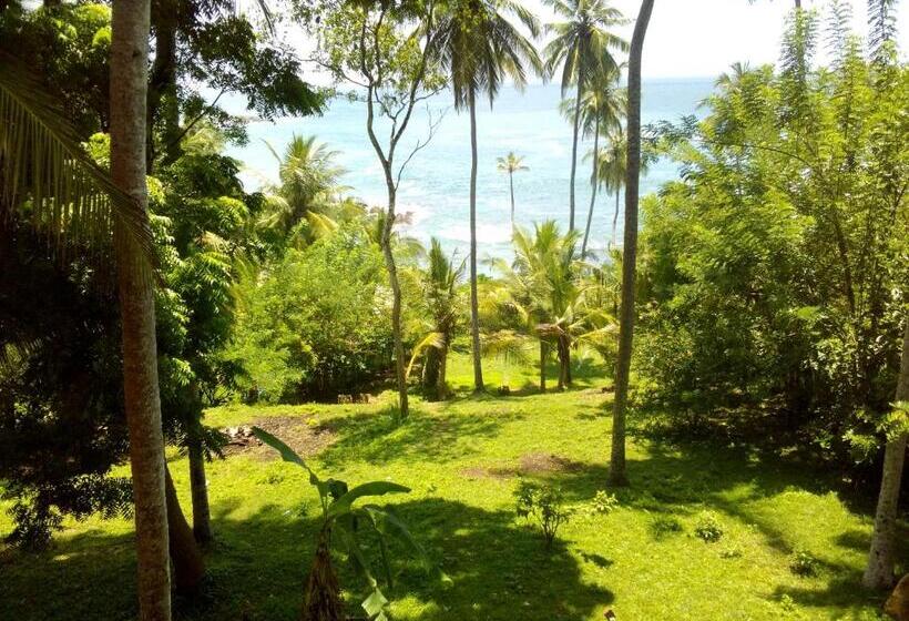 פנסיון Star Beach