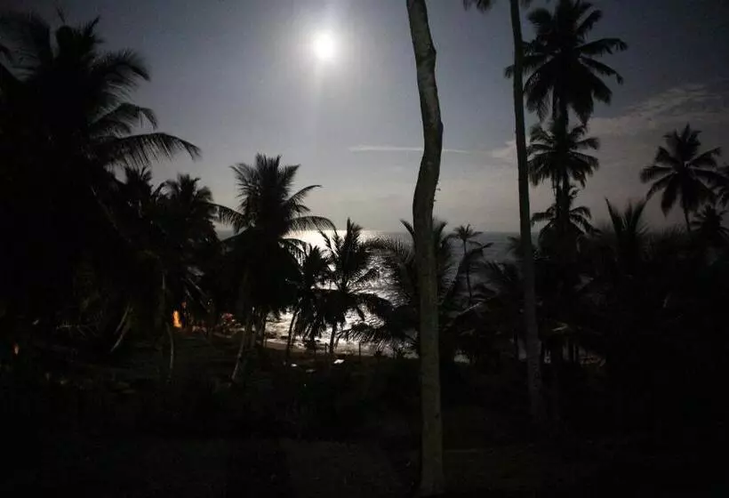 ペンション Star Beach