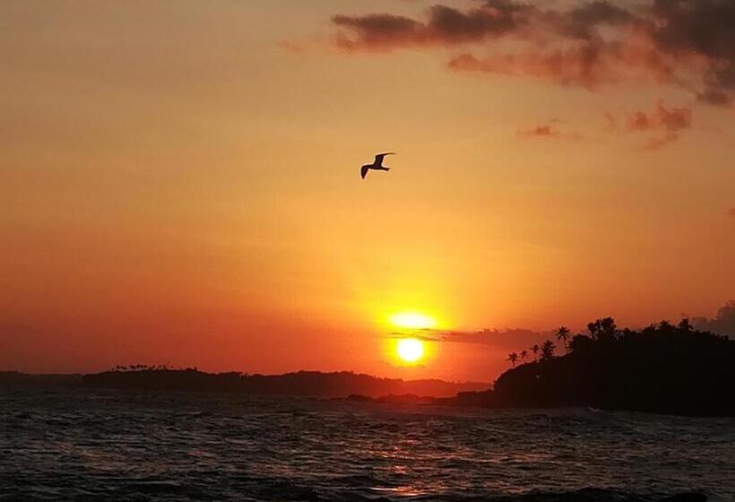 פנסיון Star Beach