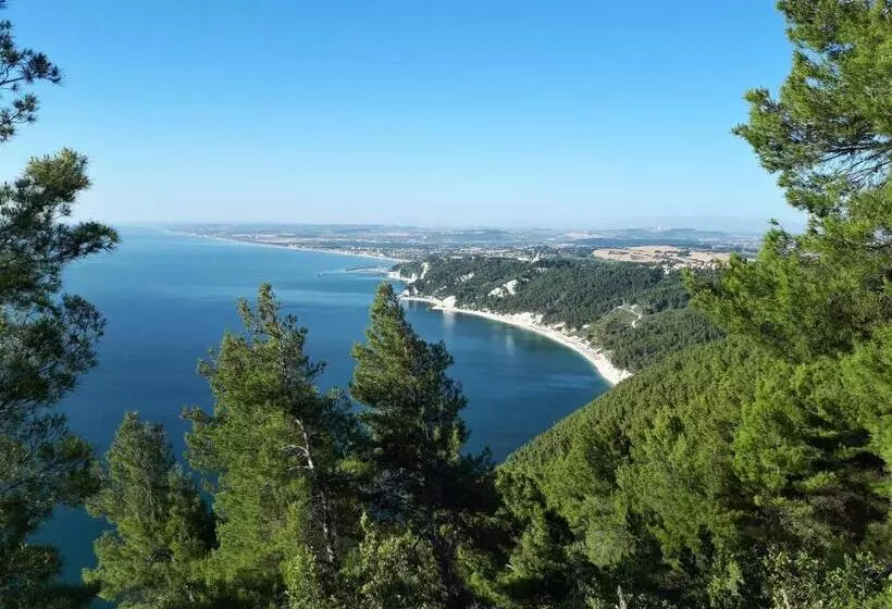 ペンション Velia Mare