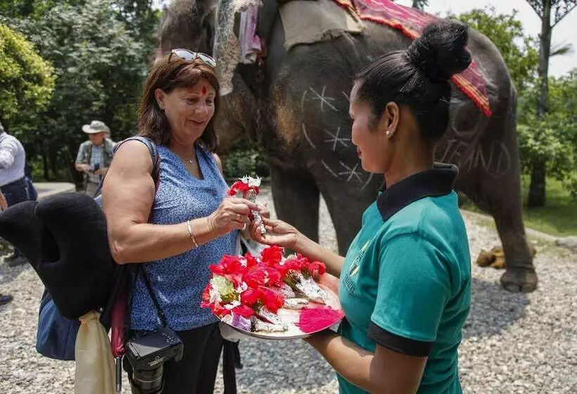هتل Tigerland Safari   A Lemon Tree Resort, Chitwan, Nepal