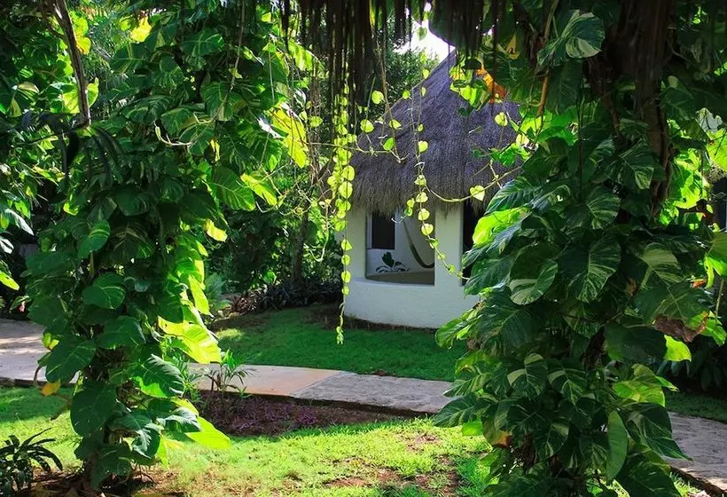 Amarte Maroma Hotel Eco Boutique Spa