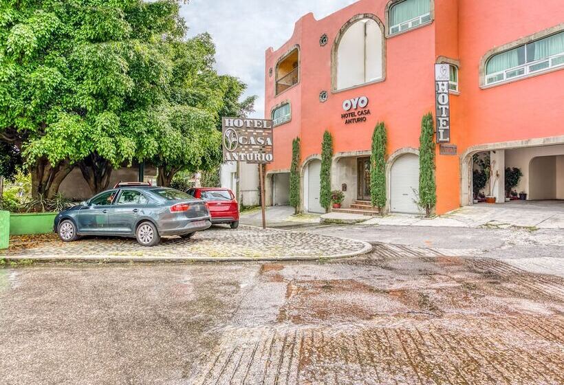 فندق Casa Anturio