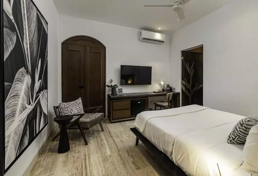 Casa Continental Hotel Boutique & Suites