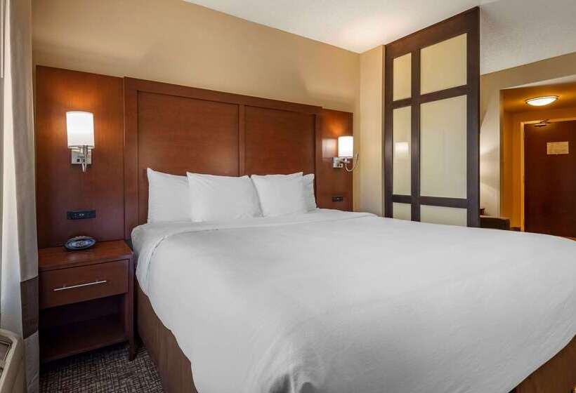 فندق Comfort Suites Lake Norman  Huntersville