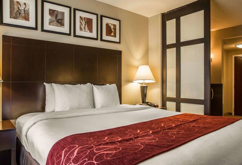 فندق Comfort Suites Lake Norman  Huntersville