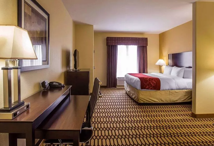 בית מלון כפרי Comfort Suites Simpsonville Greenville