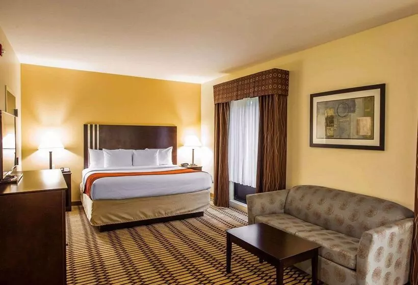 בית מלון כפרי Comfort Suites Simpsonville Greenville
