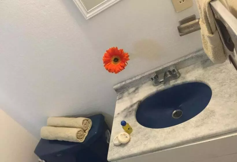 בית מלון כפרי Coral Clubes Acapulco