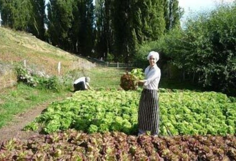 Hotel Hostería El Galpón Del Glaciar
