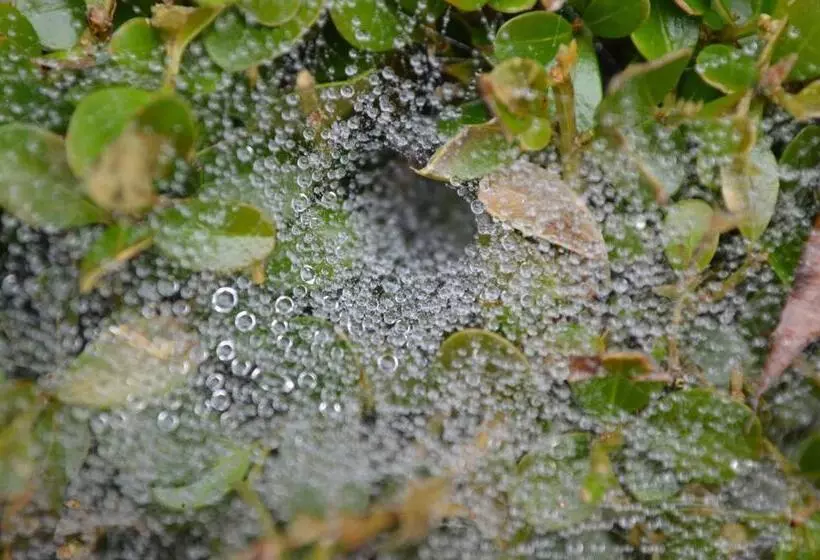 ホテル El Paraiso