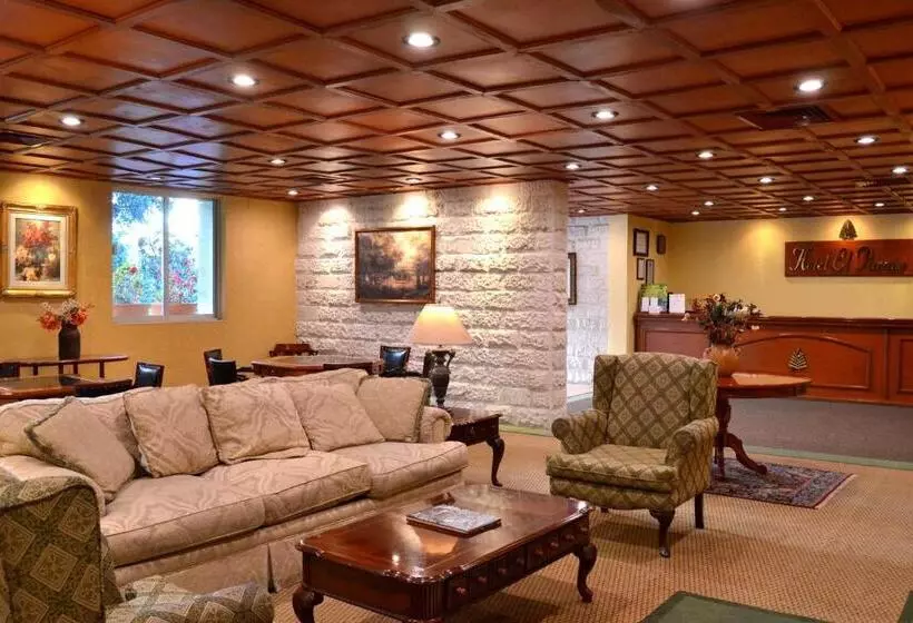 ホテル El Paraiso