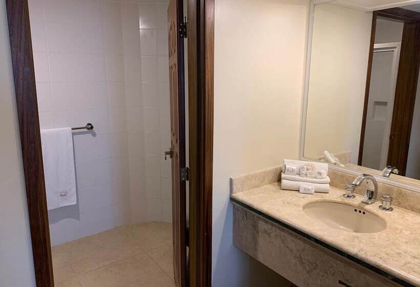 בית מלון כפרי Real Del Sol   Zona Expo E Industrial