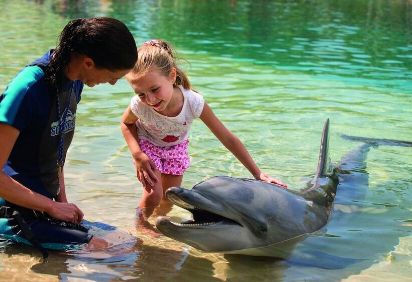 فندق Wyndham Resort Surfers Paradise