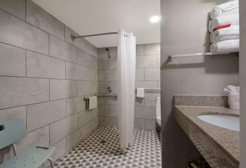 Surestay Plus Hotel By Best Western San Antonio North