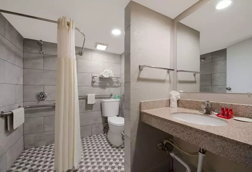 Surestay Plus Hotel By Best Western San Antonio North