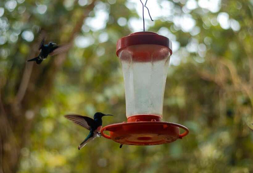 酒店 Kapari Natural Lodge & Spa