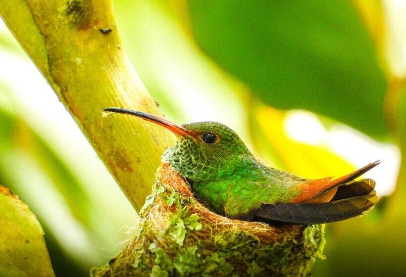 酒店 Kapari Natural Lodge & Spa