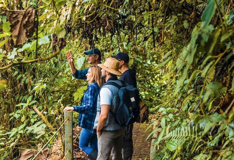 酒店 Kapari Natural Lodge & Spa