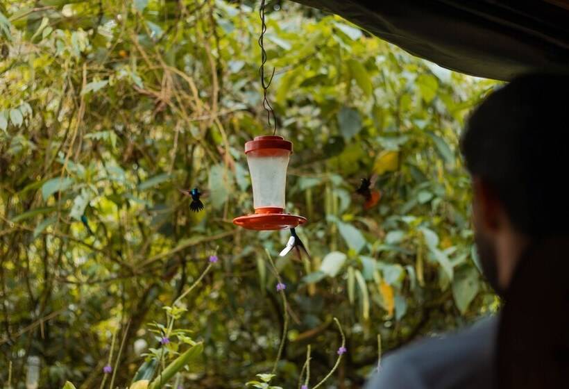 酒店 Kapari Natural Lodge & Spa