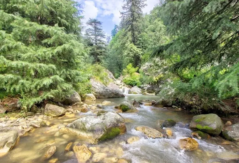 ホテル 8fold By Larisa, Jibhi