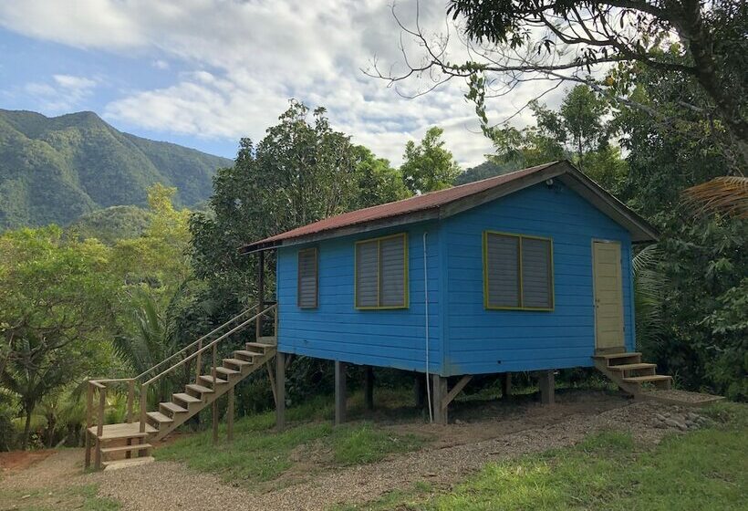 هتل T.r.e.e.s Research Center And Eco Lodge