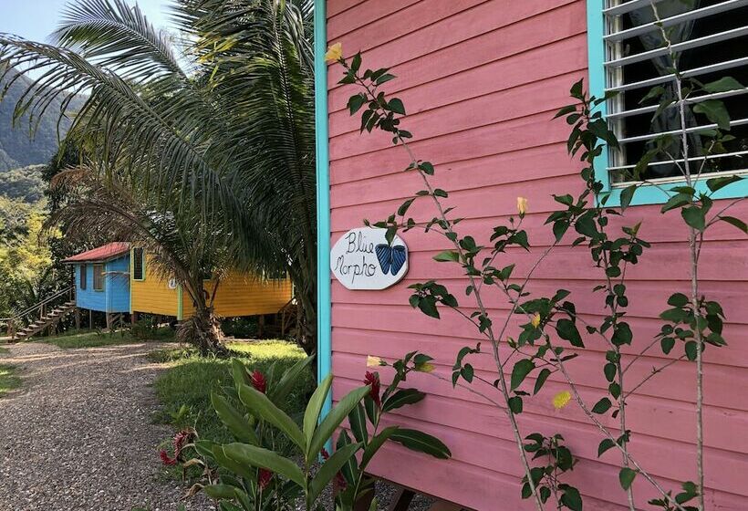 هتل T.r.e.e.s Research Center And Eco Lodge