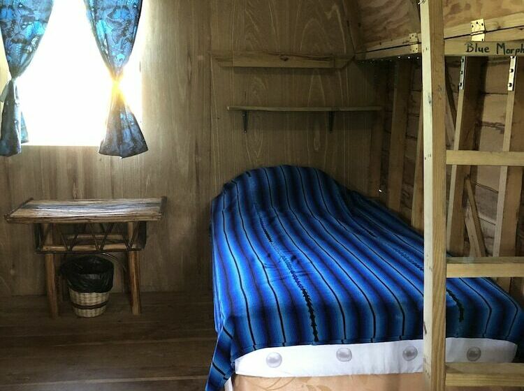 هتل T.r.e.e.s Research Center And Eco Lodge