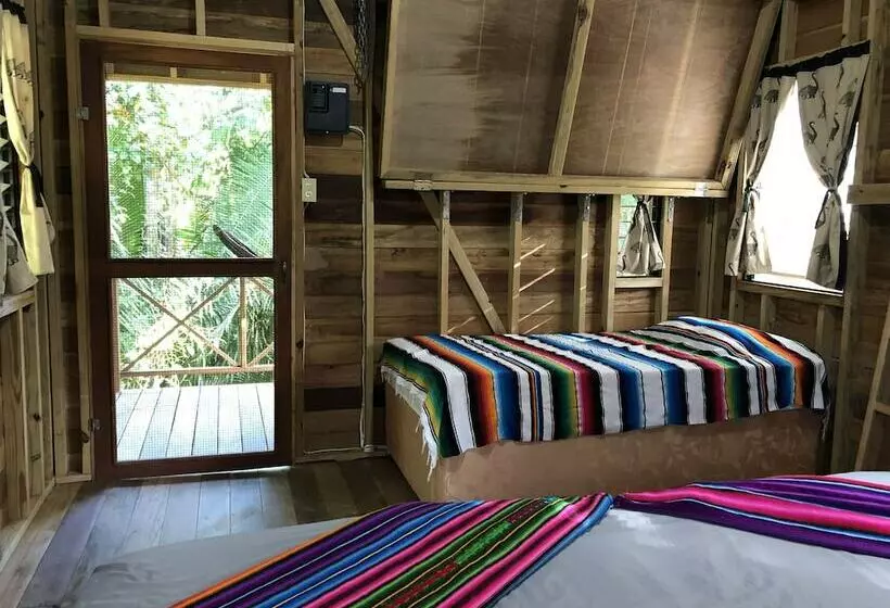 ホテル T.r.e.e.s Research Center And Eco Lodge