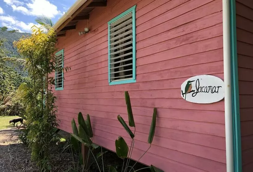 ホテル T.r.e.e.s Research Center And Eco Lodge