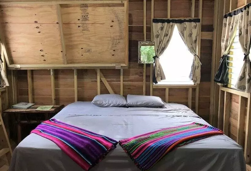 ホテル T.r.e.e.s Research Center And Eco Lodge