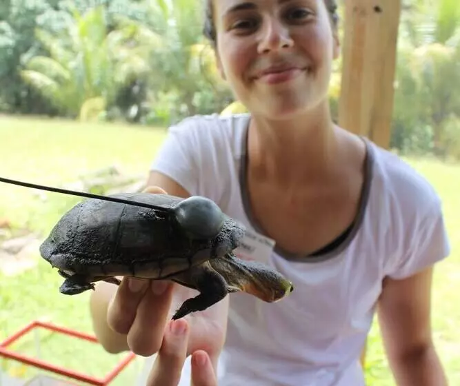 ホテル T.r.e.e.s Research Center And Eco Lodge