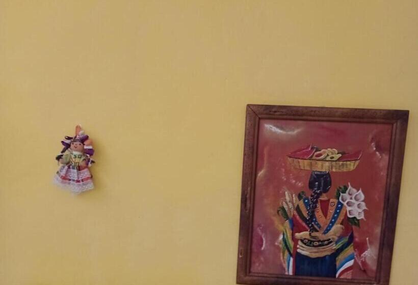 فندق Cancun Guest House