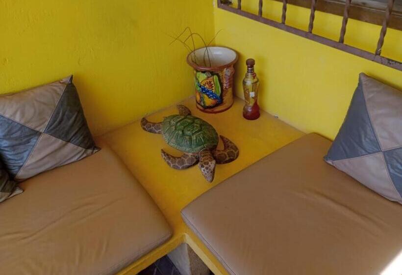 فندق Cancun Guest House